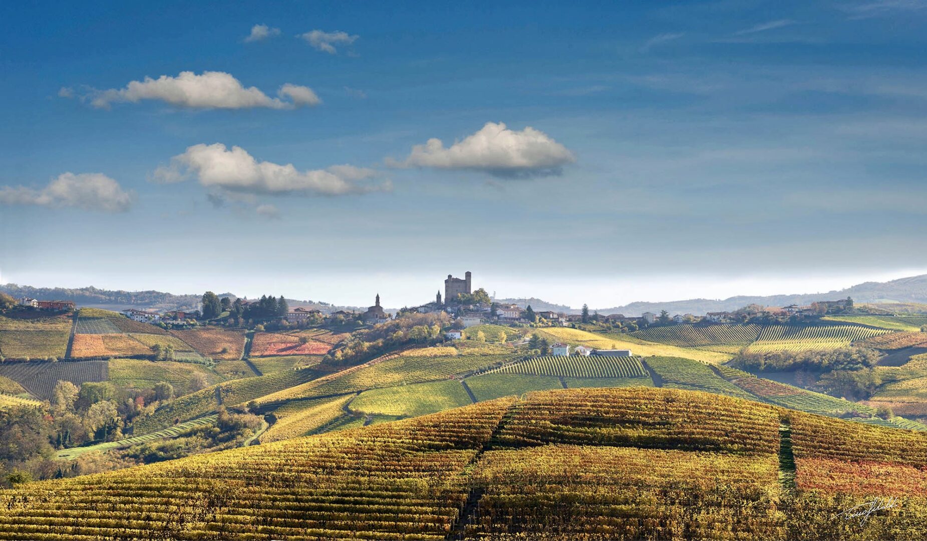 Grape harvest in the Langhe, Piedmont, Italy